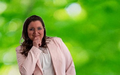 Zustand Schaukasten Rosentalstraße in Türnich